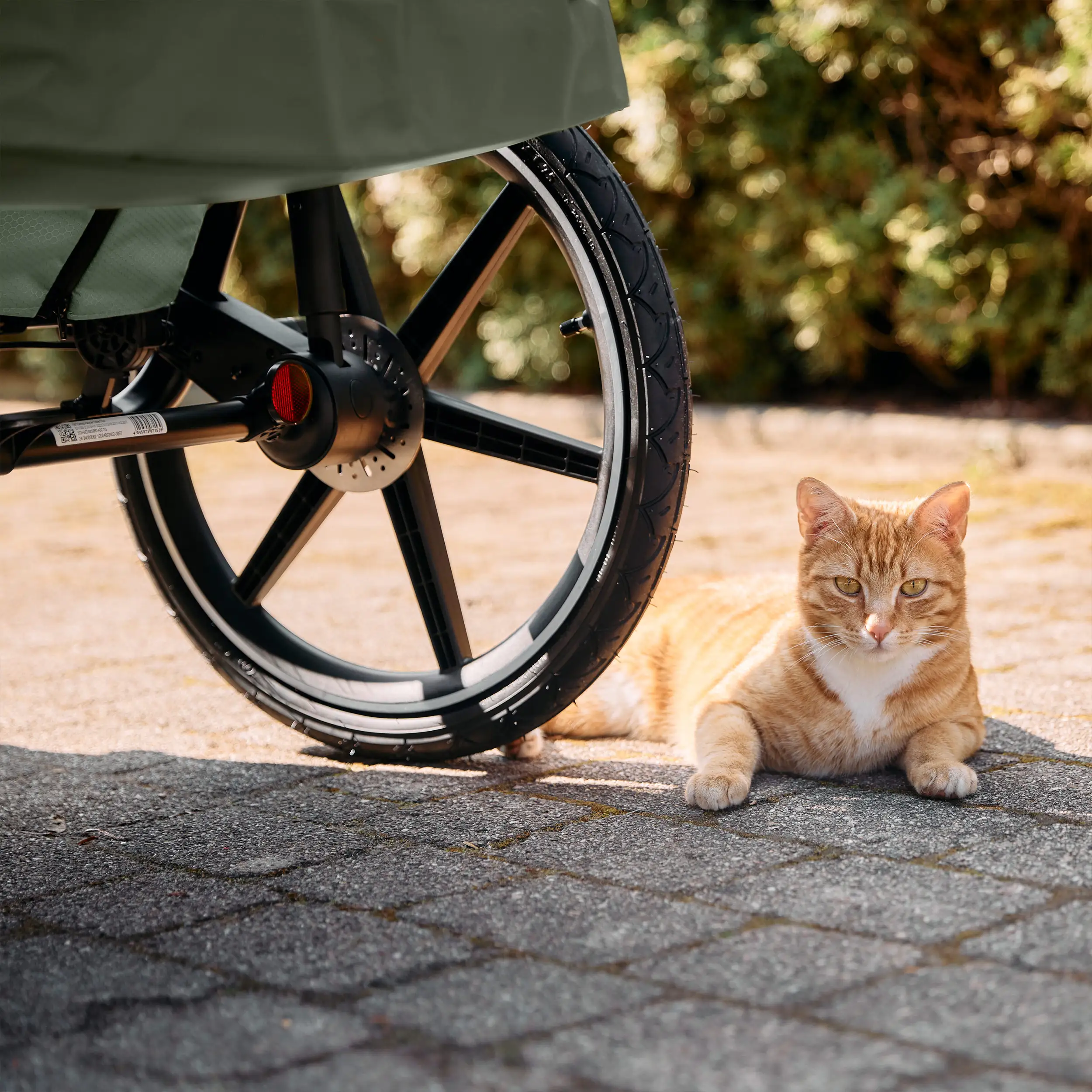 Przyczepka rowerowa Tour 2 z 2 wygodnymi fotelikami i Kołami pneumatycznymi – Olive