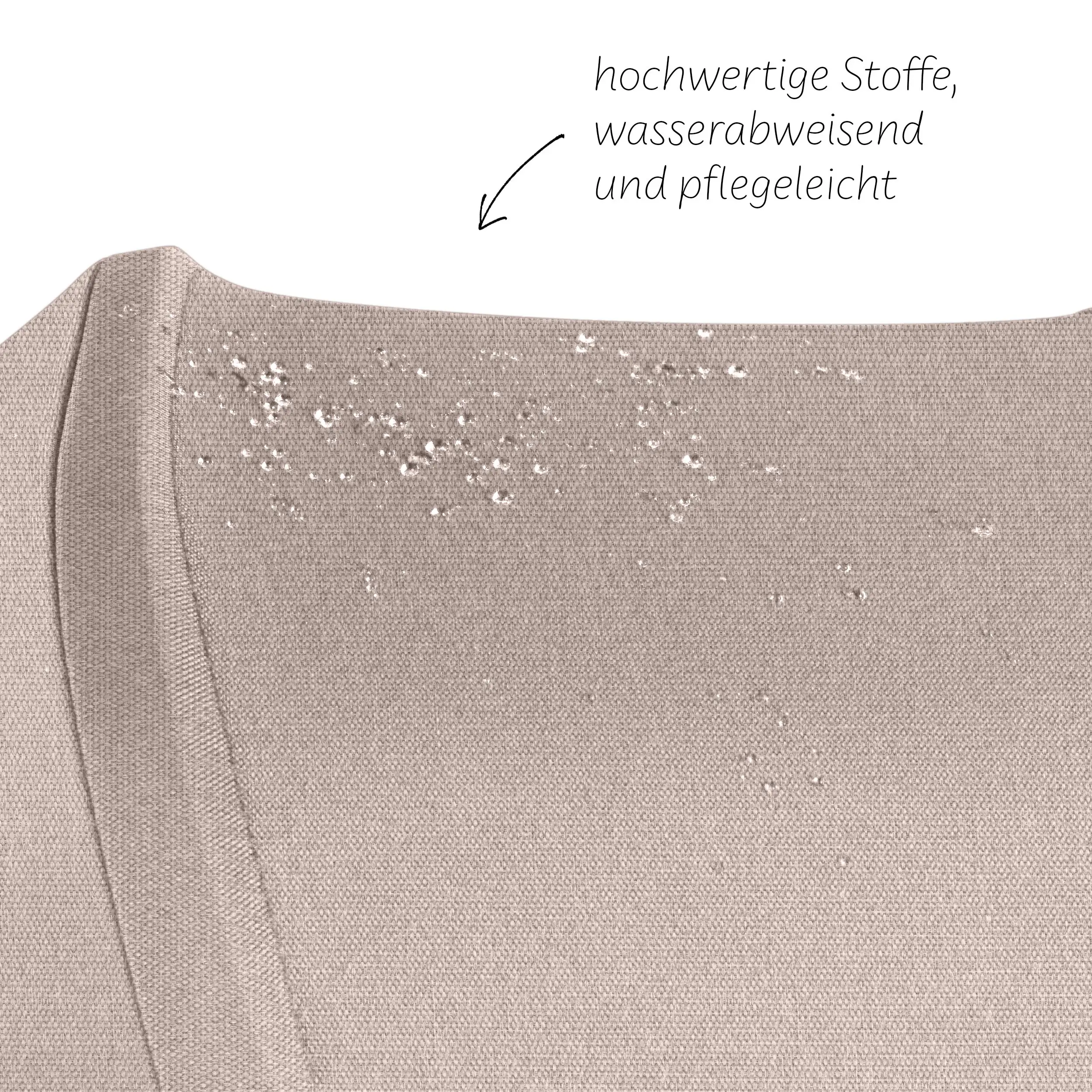 Wózek do biegania Salsa 5 Run - Camel